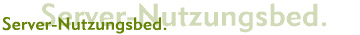 Server-Nutzungsbedingungen